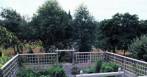 Deer-proof vegetable garden