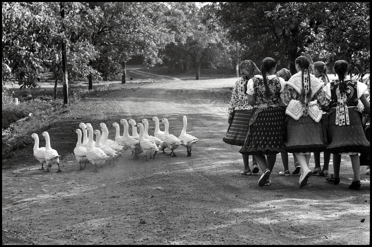 anthony luke's not-just-another-photoblog Blog
