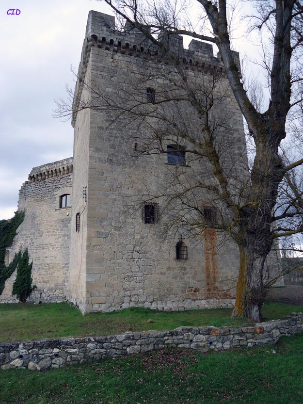 Castillo de Sotopalacios