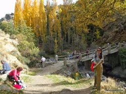 La Alpujarra, por sí misma