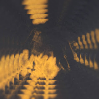 Son Cosmo – Bleach Stains On Black