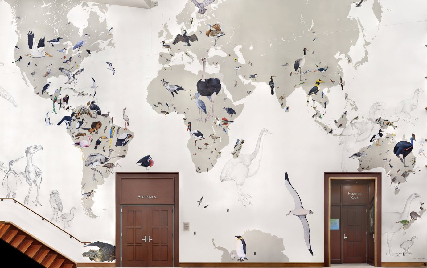 Wall of Birds
