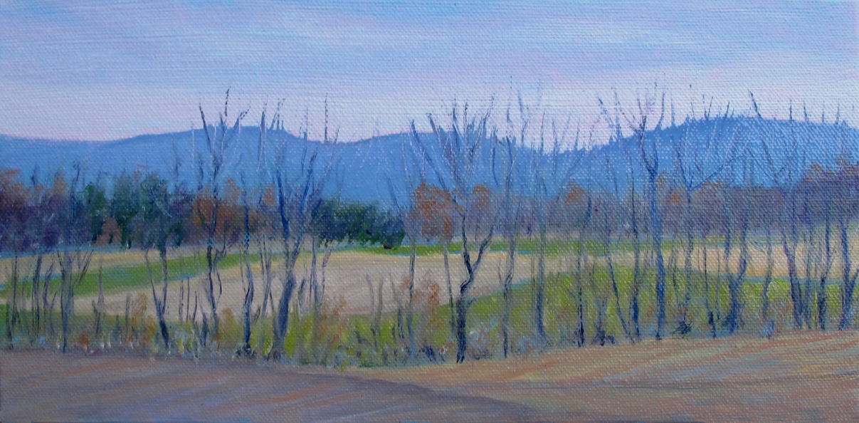 Meg West Oil Paintings Greenwood Fields, Day 15 of Challenge