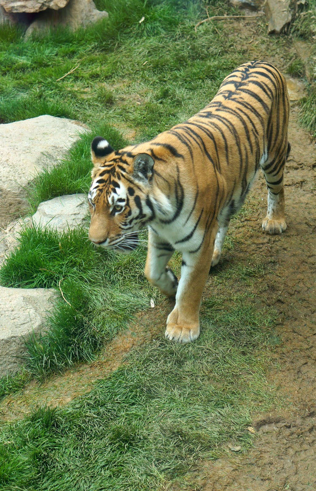 Y'all Come On In The Door's Open Green Eggs Cafe and the Philadelphia Zoo