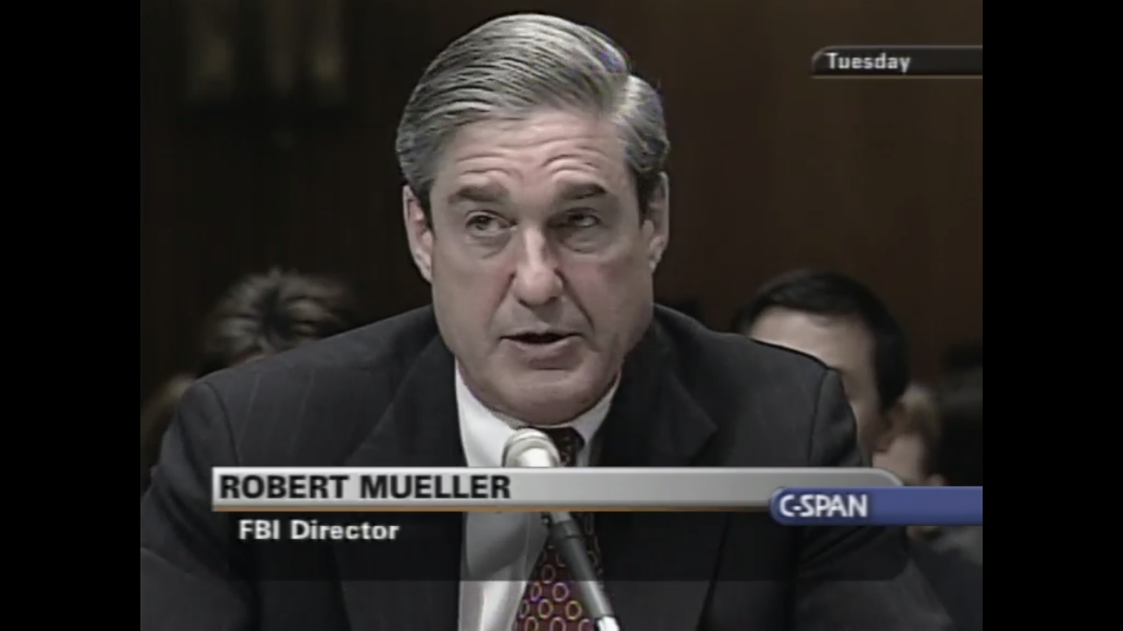Mueller WMD's