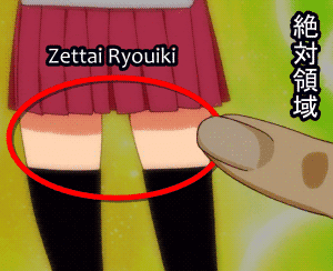 What is Zettai Ryouiki