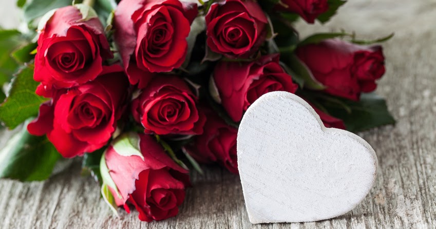 جودة المرتزقة أشيد بتفسير رؤية الوردة الحمراء في المنام Sjvbca Org