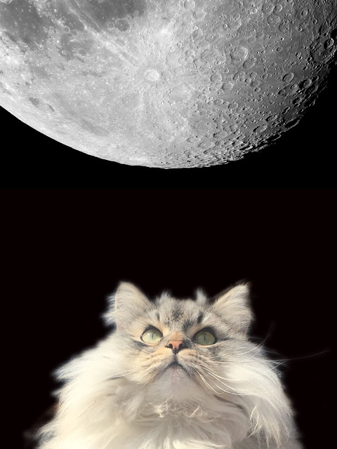 Puri Gagarin looking up at Moon. Puri Gagarin looking up at Moon.