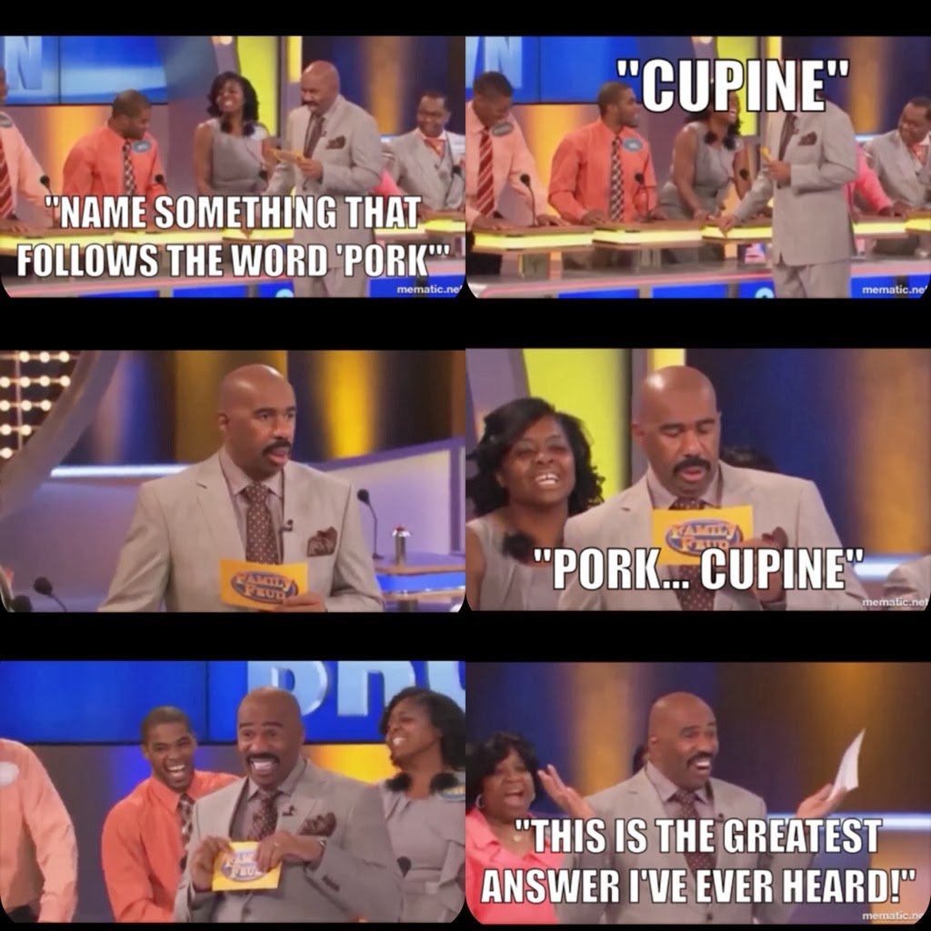 Name something that follows the world pork cupine, porkcupine, this is