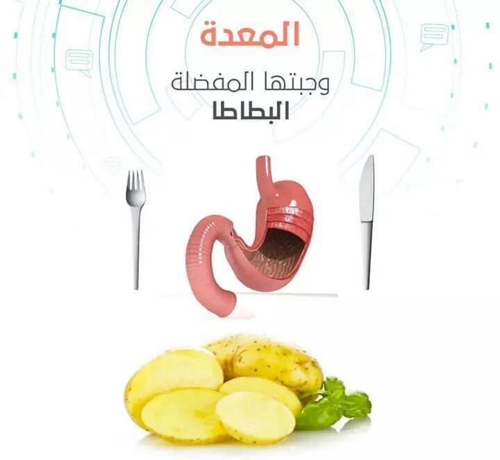 بالصور الوجبة المفضلة لكل عضو من أعضاء الجسم ، ستندهش بالصور الوجبة المفضلة لكل عضو من أعضاء الجسم ، ستندهش