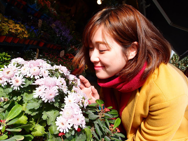 Z小編的雜誌人篸:韓妞在首爾的自助旅行-拍照打卡的好地方大推薦:鐘路三街益善洞韓屋村、新沙洞林蔭大道、三清洞德成女子大學&高中&中學旁巷弄
