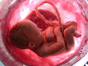 bebe-utero-liquido-amniotico