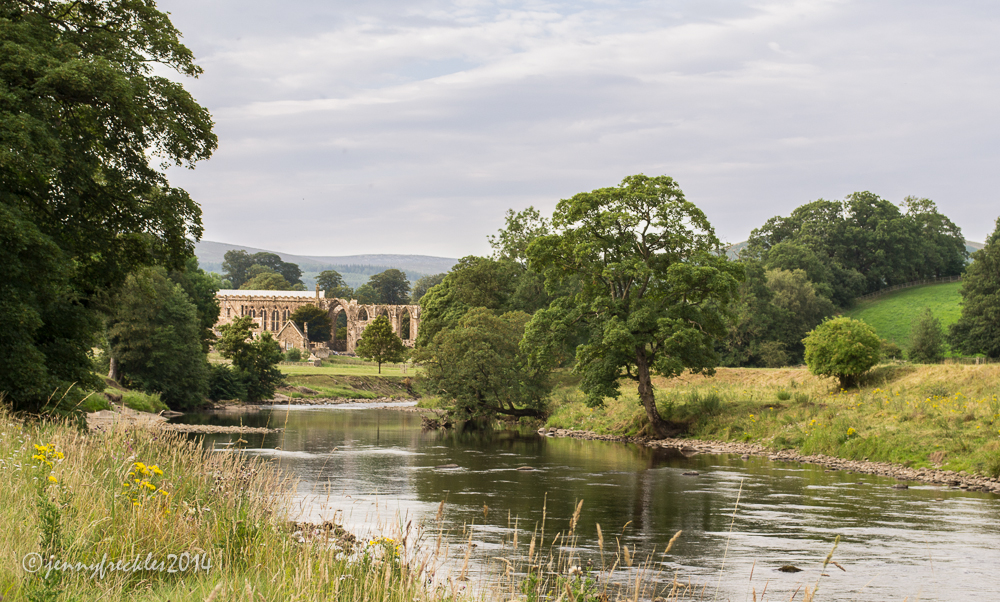 Saltaire Daily Photo Bolton Abbey estate
