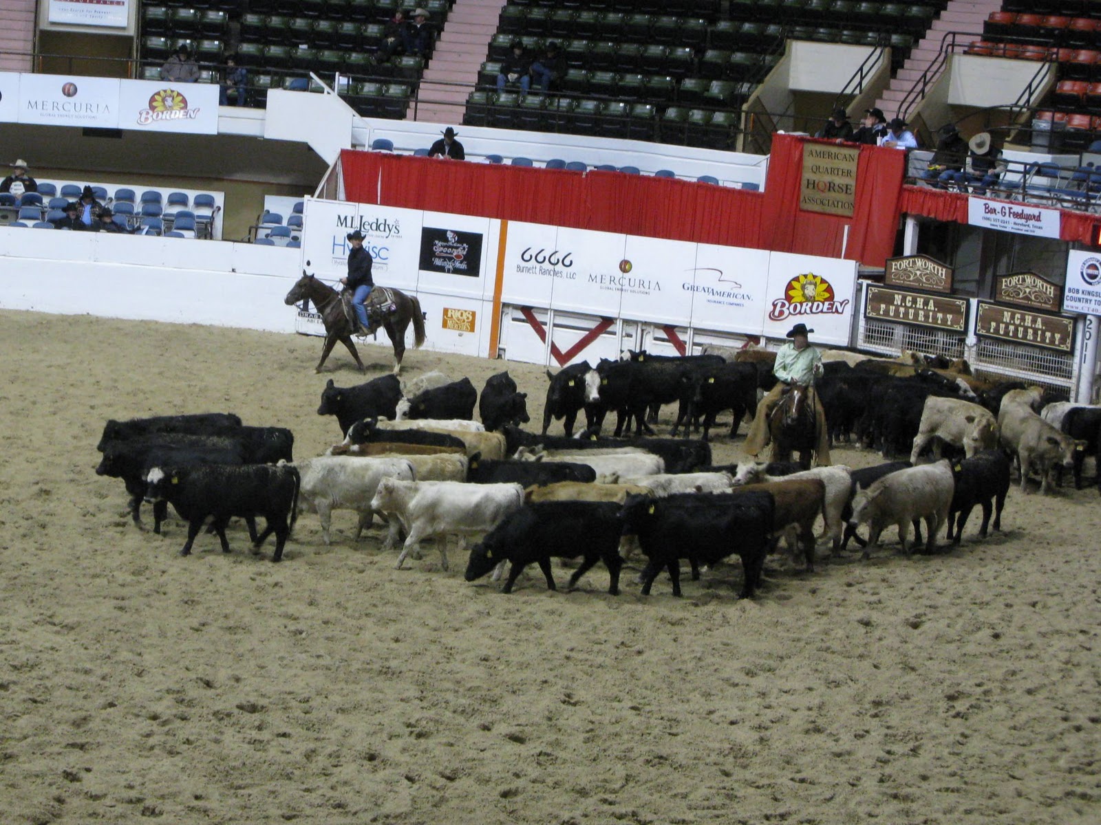 Meandering... NCHA Futurity in Fort Worth