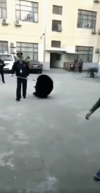 1544247242148016865.gif