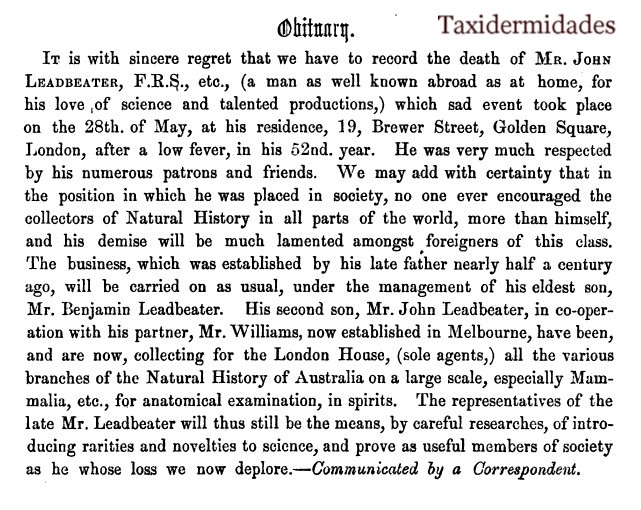 La saga de los Leadbeater. Taxidermidades