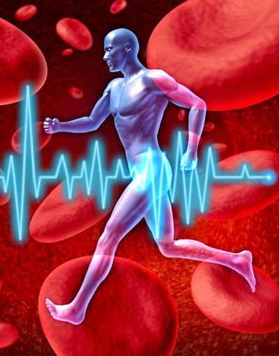 Regular Exercise and Circulation Regular exercise has a positive effect on blood circulation and overall health.