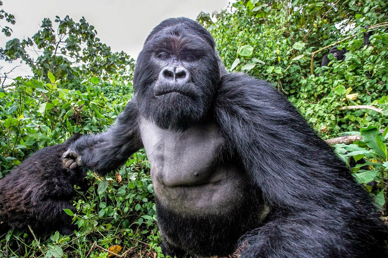 14 Fotos raras, curiosas e interesantes del mundo en el que vivimos ...