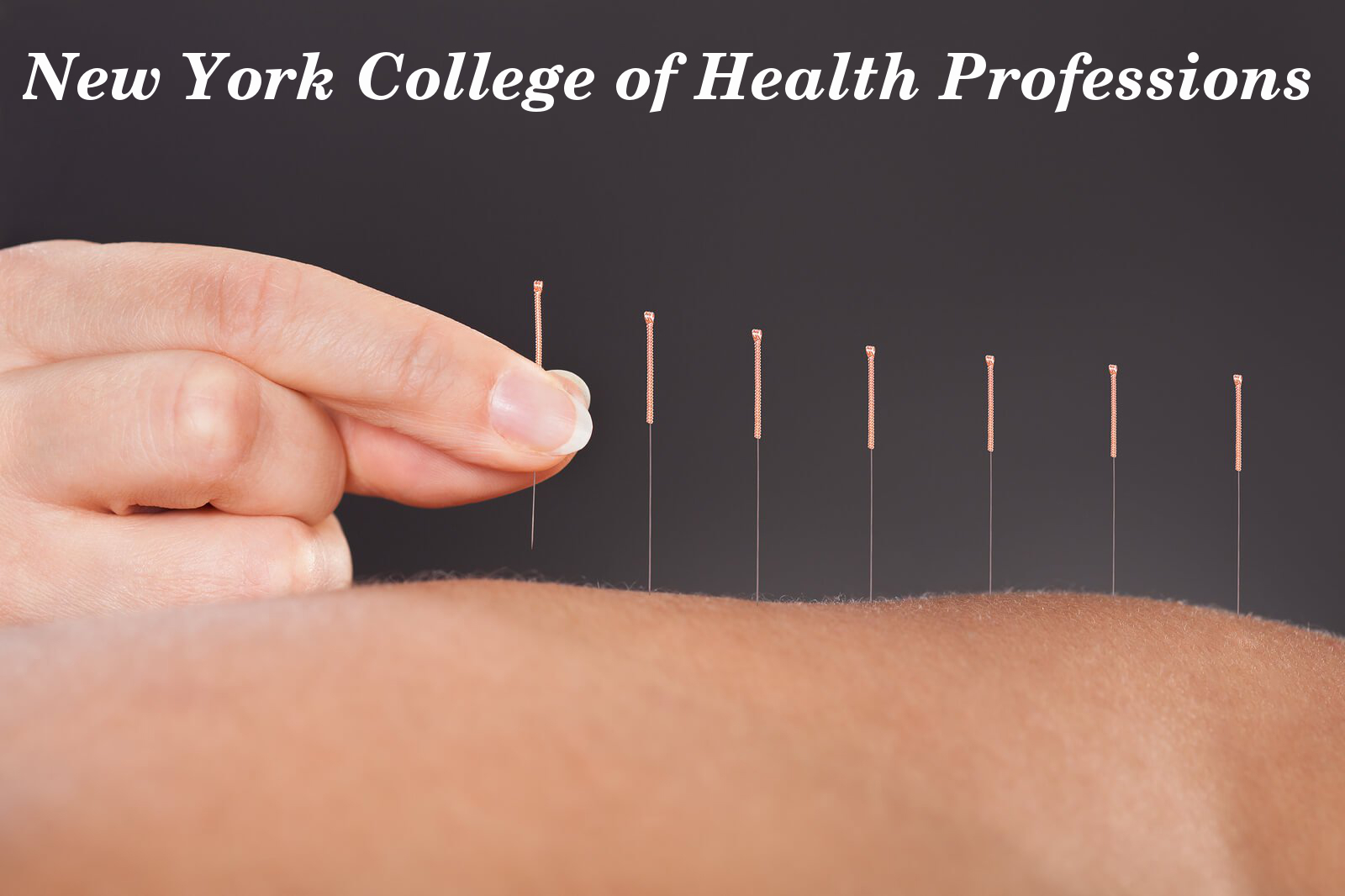 All You Need To Know About Acupuncture New York College Of Health Professions ~ New York