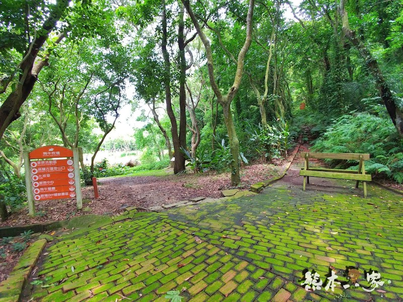 一秒到歐洲|苗栗飛牛牧場|最美牧場和大草原~野餐嬉戲觀乳牛、人工濕地護自然