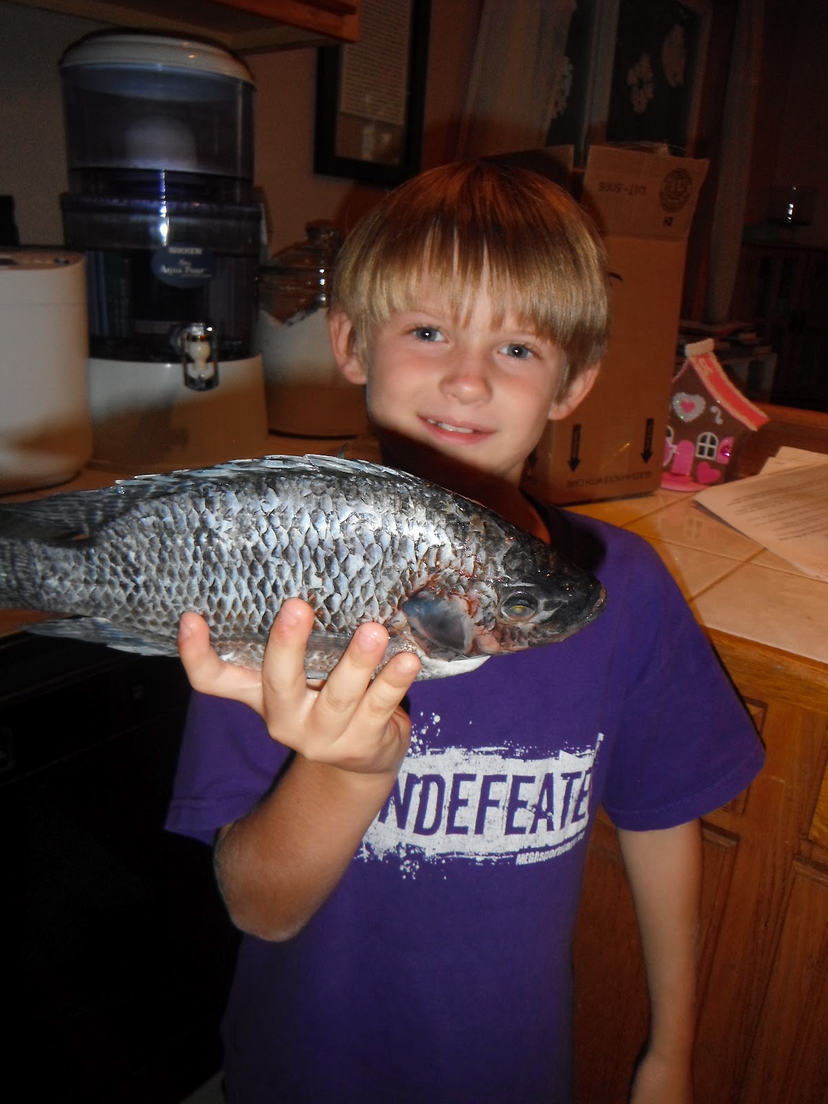 The KnuckleHeadz Something Smells Fishy