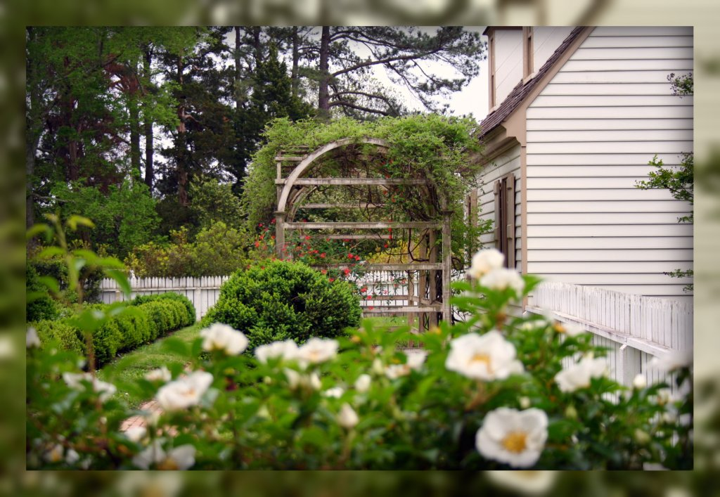 Living In Williamsburg, Virginia Flowers Of Colonial Williamsburg