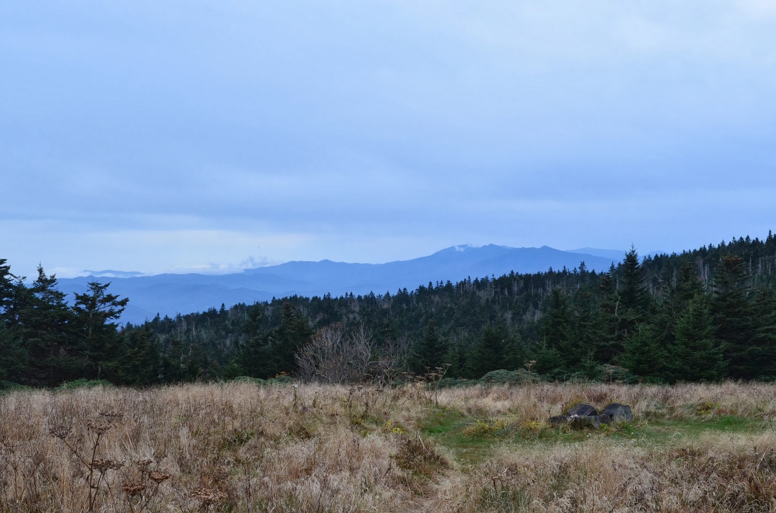Mac Alasdair Roan Mountain Shelter