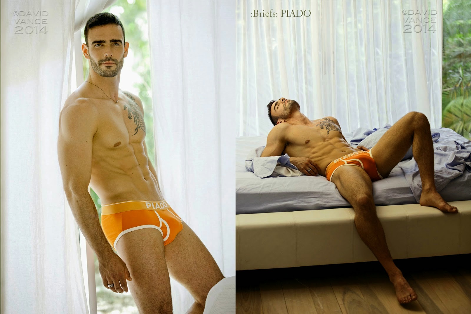 Jess vill модель
