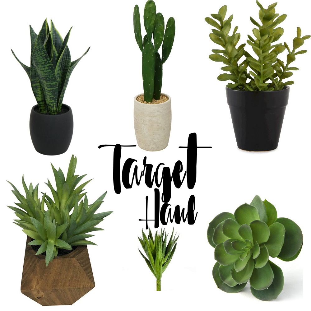 Aide Aparicio Target Haul Fake Plants Edition
