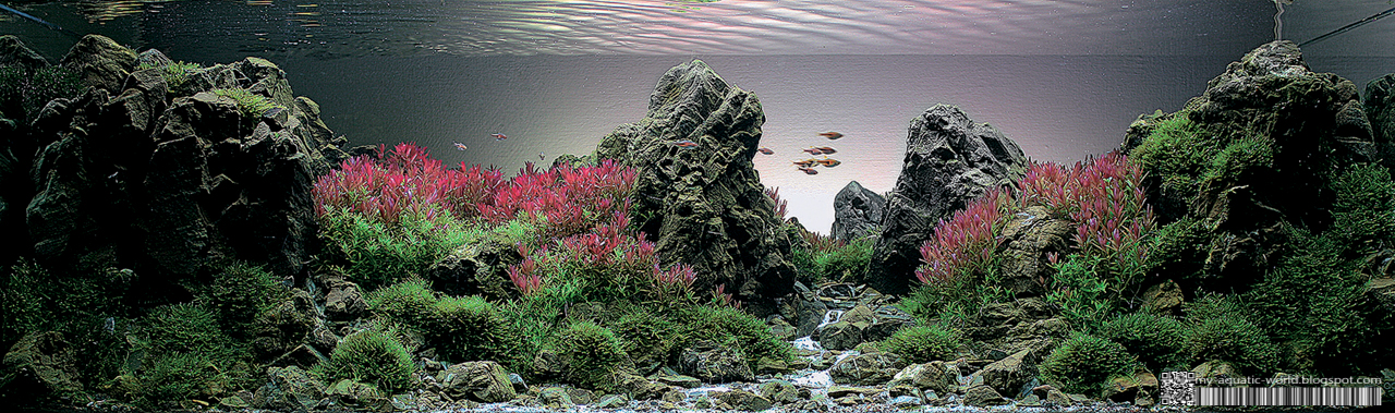 Aquatic World
