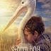 Download Storm Boy (2019) WEBDL Subtitle Indonesia