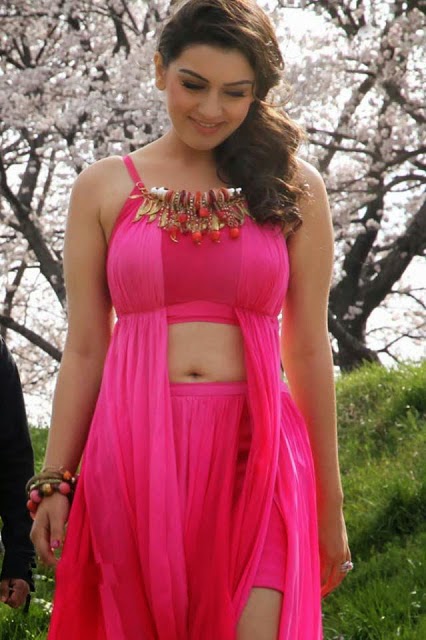 hansika motwani hot and sexy photo hansika motwani hot and sexy photo
