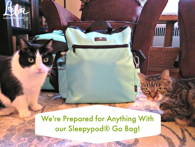 Sleepypod Go Bag|Disaster Preparedness