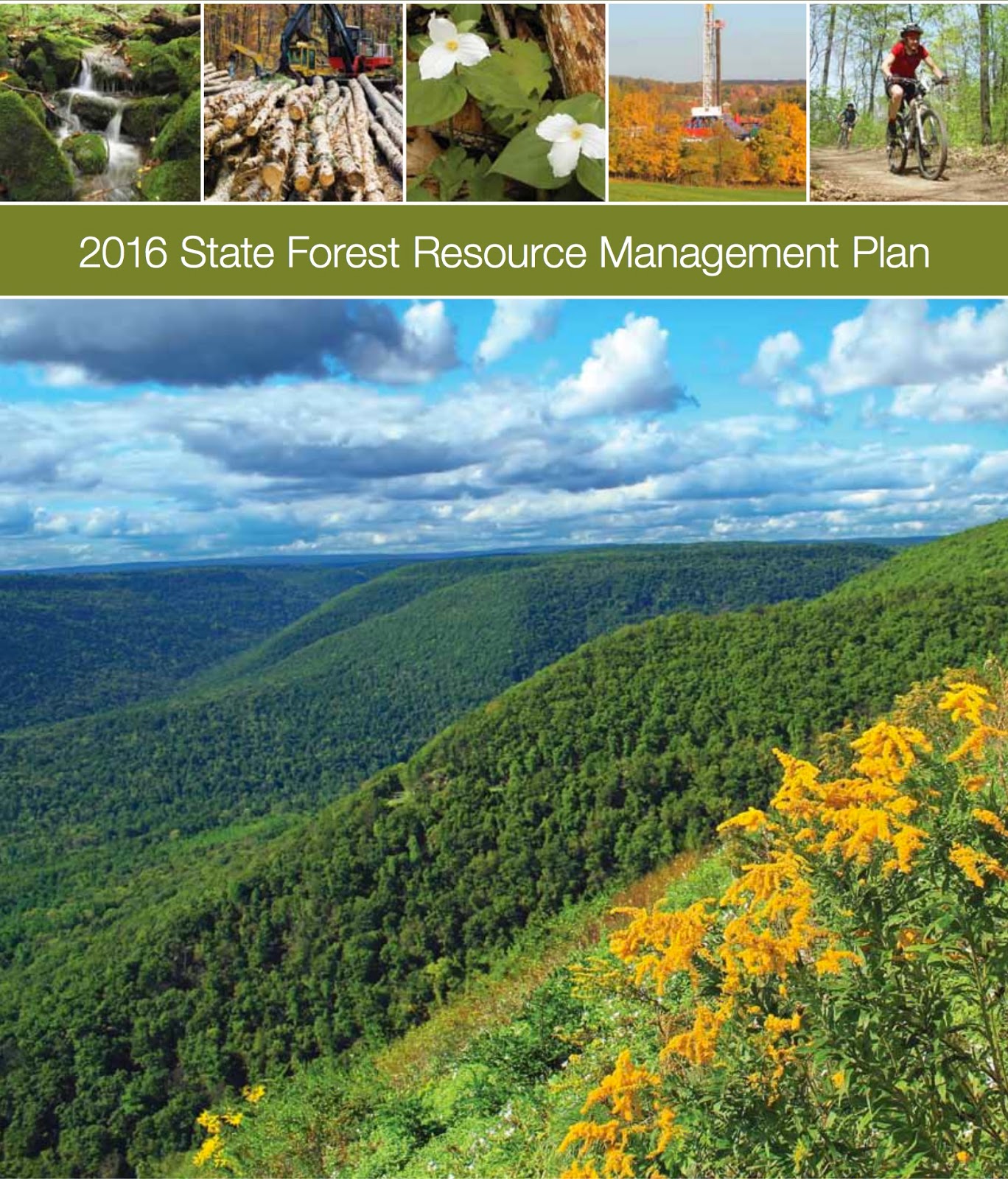 PA Environment Digest Blog: Future Of Pennsylvania’s State Forests 