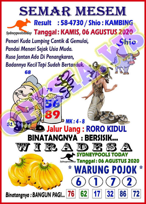 SYAIR SYDNEY ASIKTOTO