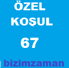 Özel Koşul ve Açıklamalar 67 Anlamı