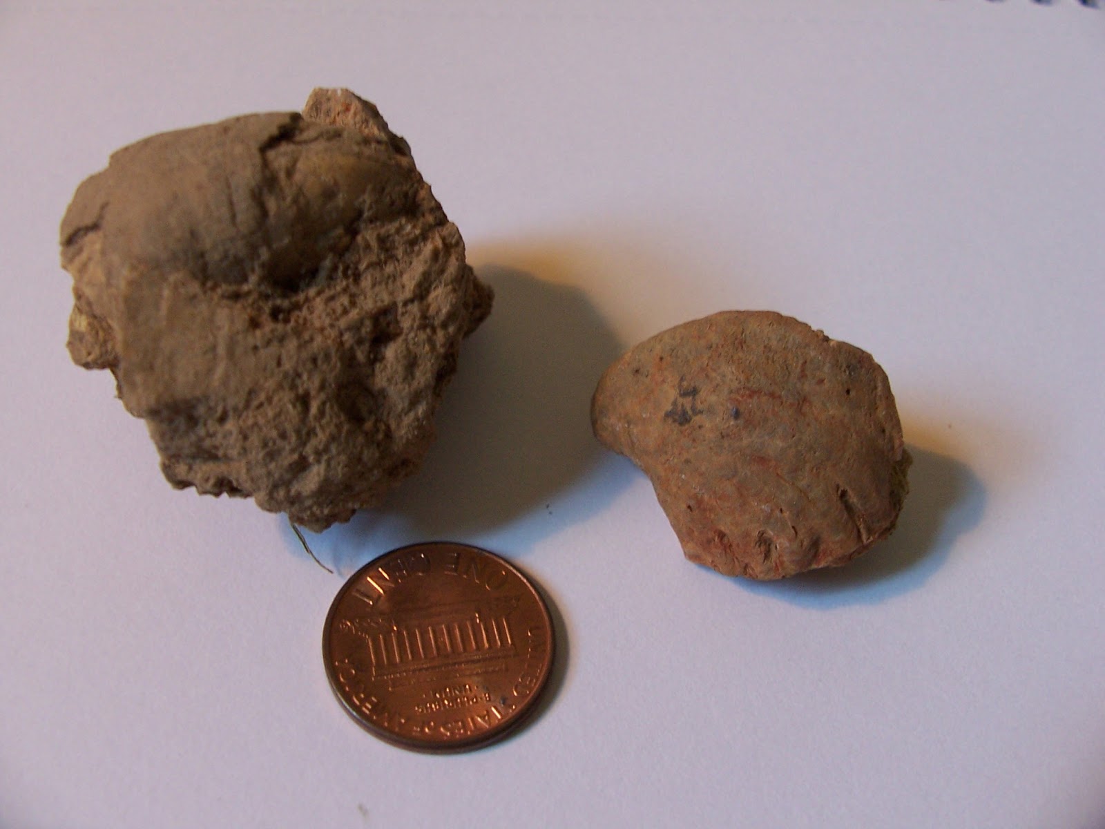 gen 2 fossils