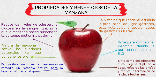 las frutas mas beneficiosas para la salud las frutas mas beneficiosas para la salud