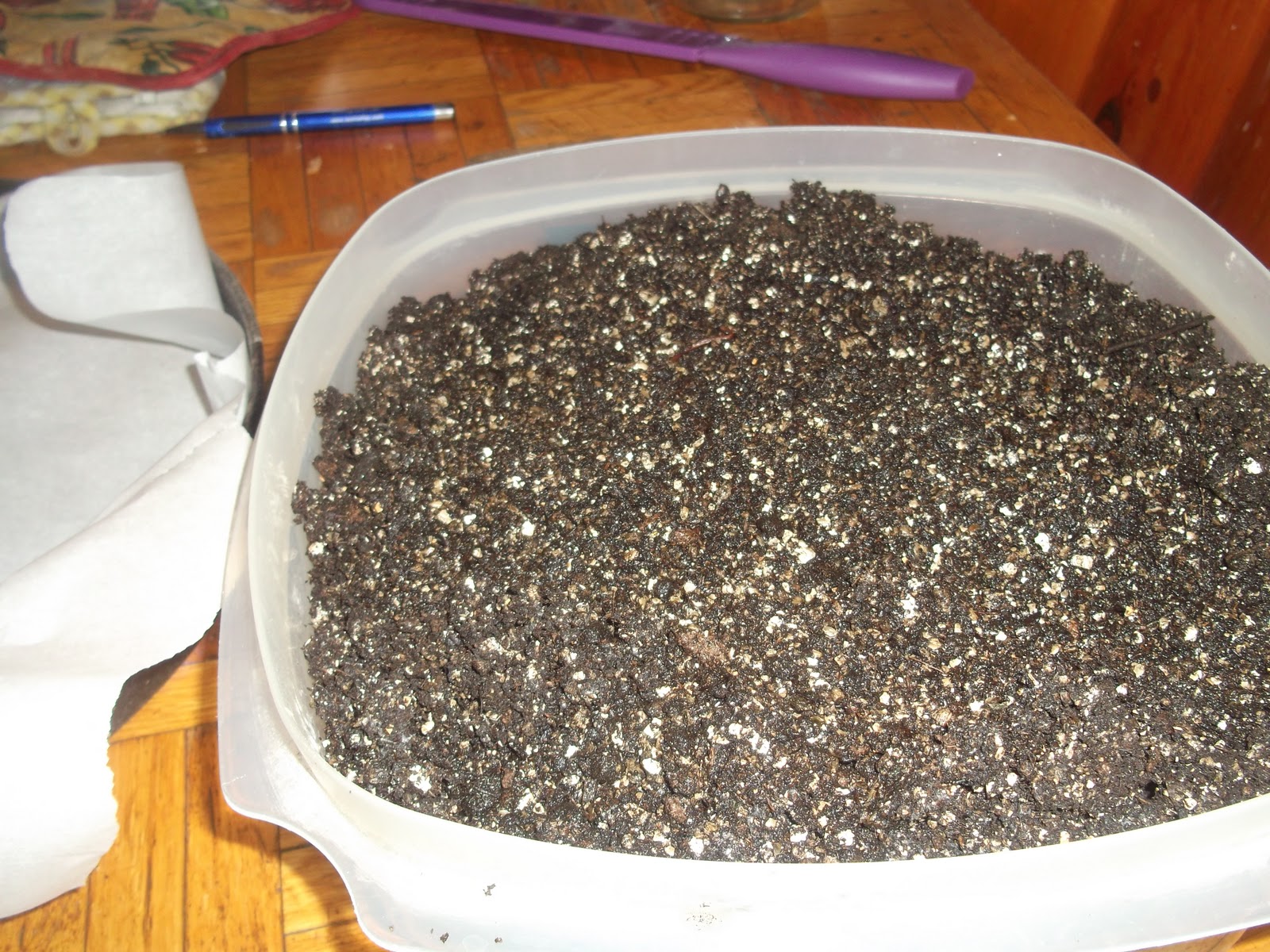 My Half Acre Homestead Soil Blocks for Seed Starting!