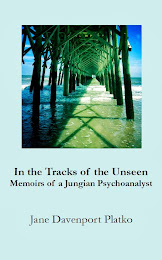 In the Tracks of the Unseen; Memoirs of a Jungian Psychoanalyst