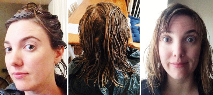 Burntfeather Going Blonde At Home Brunette To Blonde