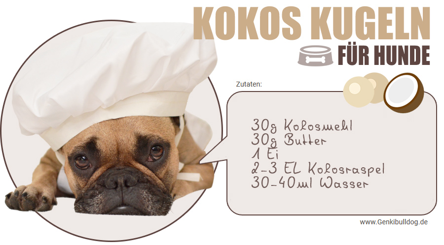 Rezept Kokoskugeln für Hunde Mit Kokosmehl glutenfrei und getreidefrei backen Rezept Kokoskugeln für Hunde Mit Kokosmehl glutenfrei und getreidefrei backen