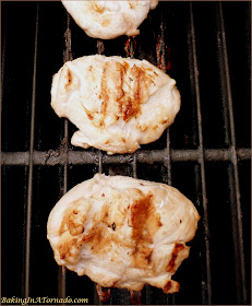 Grilled Lemon Ginger Chicken ingredients | Recipe developed by and picture property of www.BakingInATornado.com 