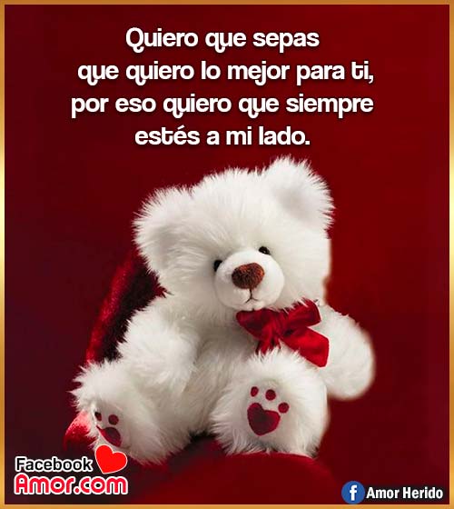 peluche de amor con frases peluche de amor con frases