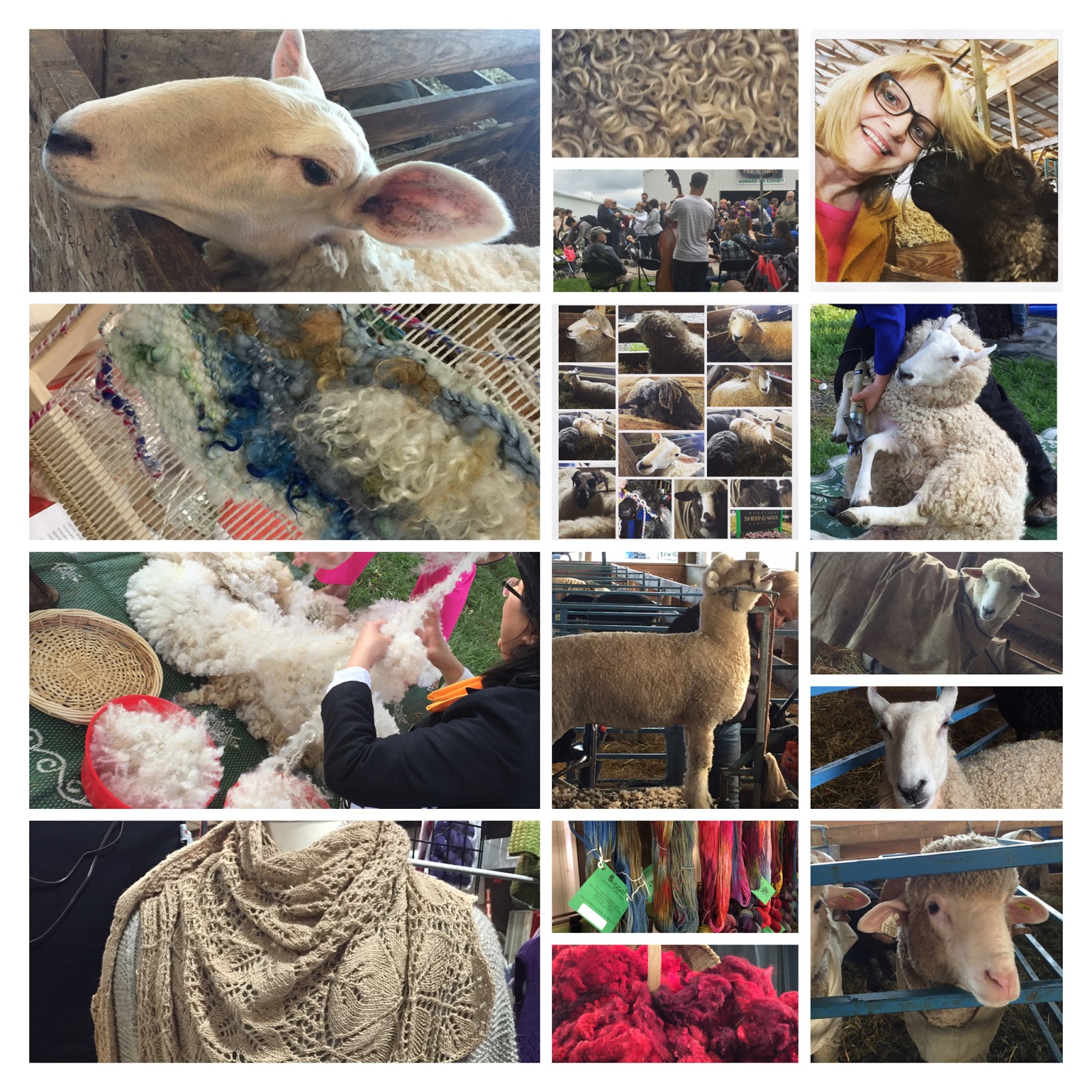 My Gentle Threads. . . Fun at another Maryland Sheep and Wool Festival