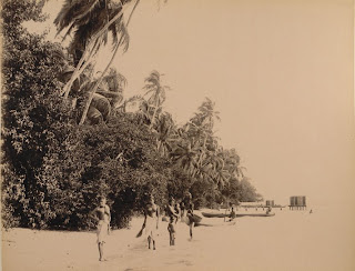 http://4.bp.blogspot.com/-o08kbf0n580/T_cfYOzm8mI/AAAAAAAAT6c/WADsCm8HcvM/s1600/1900+photo_vallarpadm+island.jpg