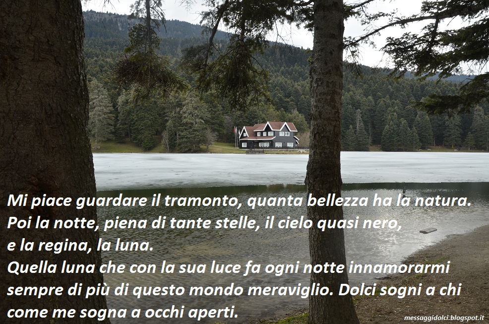 Frasi Di Buonanotte Messaggi Dolci