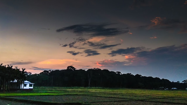 The rice field lightened by the dusky lights. The rice field lightened by the dusky lights. @DoiBedouin