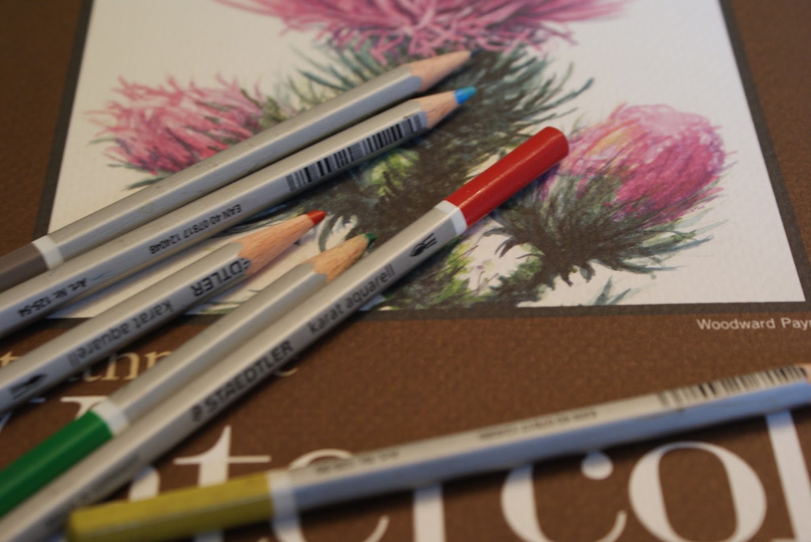 Ideas for Scrapbookers Fun with Watercolor Pencils