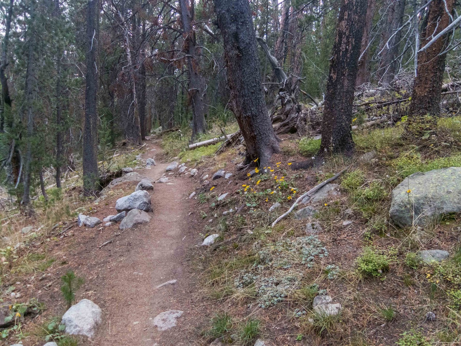 Eric's Hikes Wind River High Route Day 7 Shadow Lake to Big Sandy
